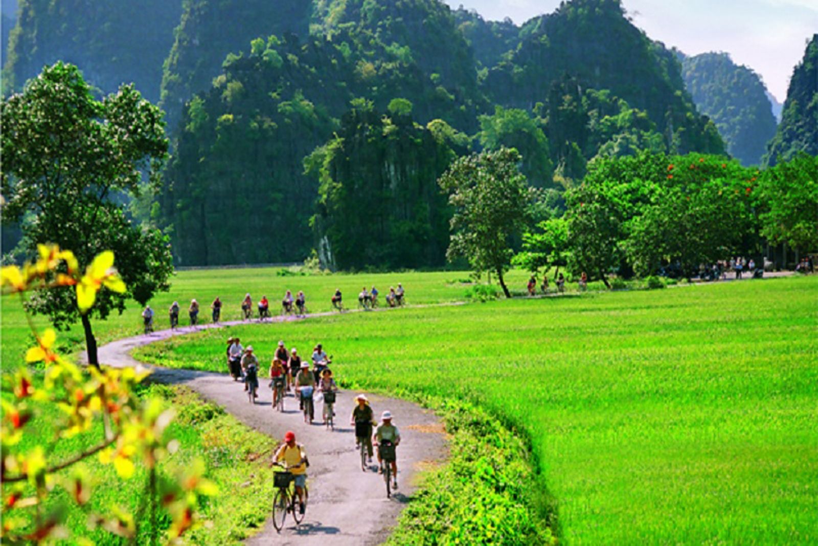 Cycling Tours Through Ninh Binh Countryside