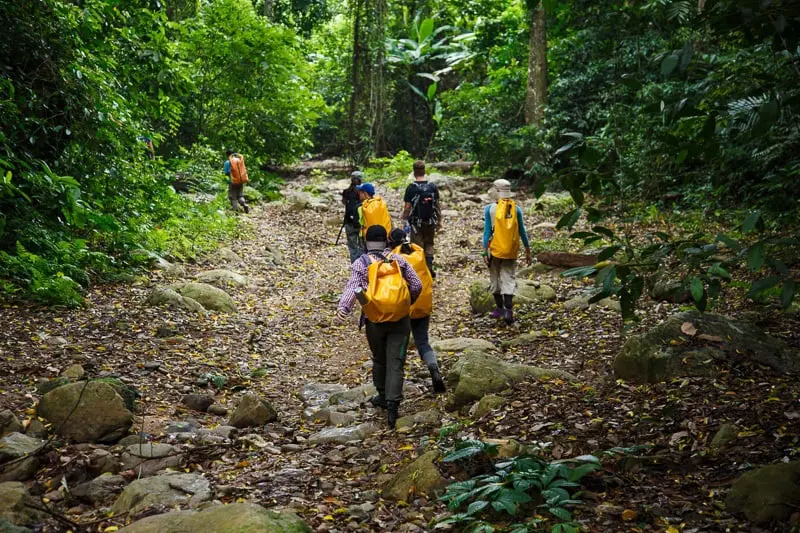 cuc phuong national park 8