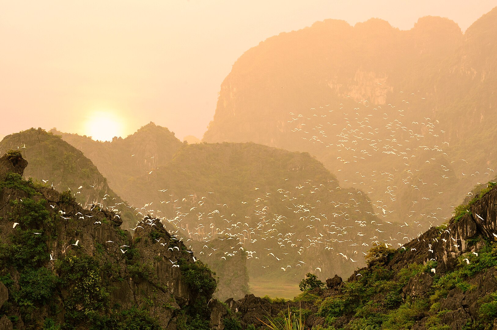 thung nham bird valley