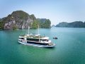 Arcady Premium Cruise