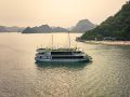 Arcady Premium Cruise