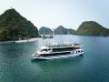 Arcady Premium Cruise