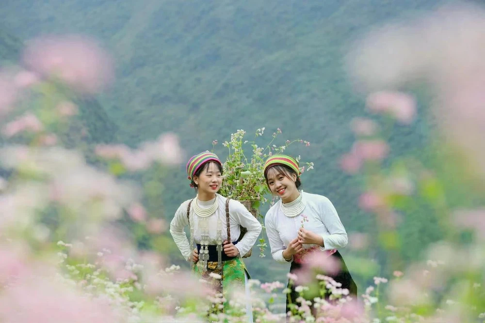ha giang loop