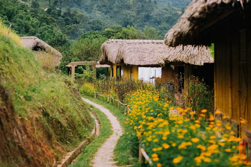 homestay ha giang