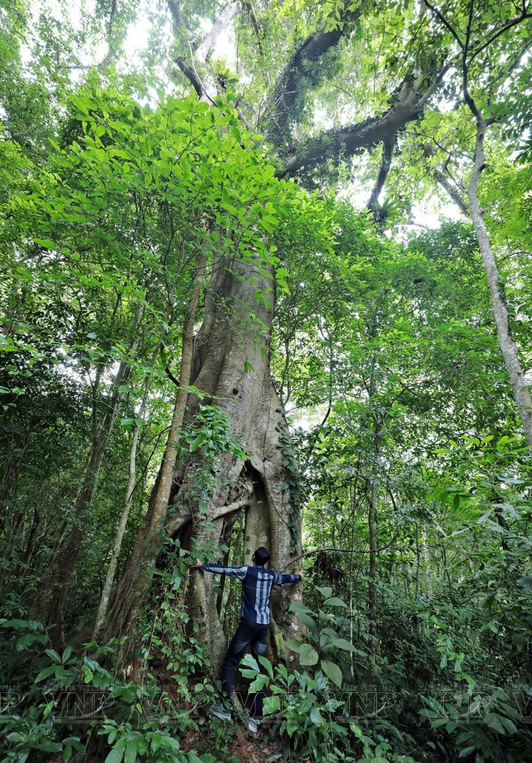 Cat Ba National Park
