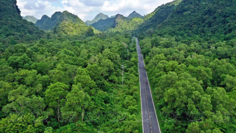 The only road running along the coast and through cat ba island