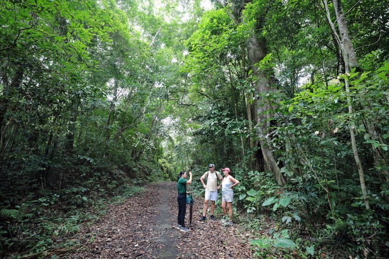 Cat Ba National Park