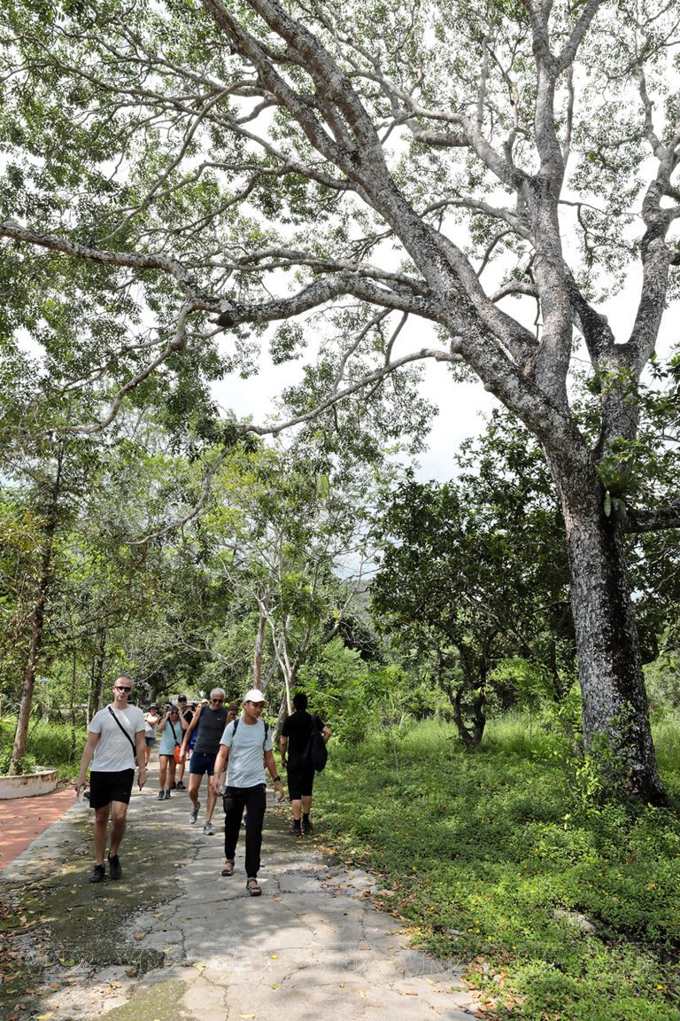 Trekking in Cat Ba National Park