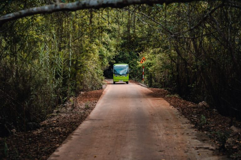 electric car in viet hai village