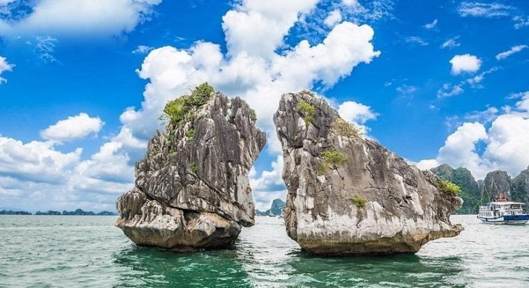 fighting cocks islet hon trong mai ha long 0001