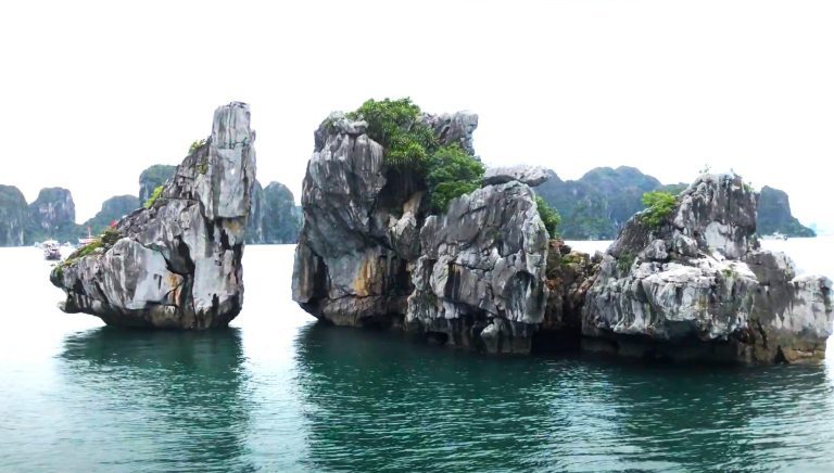 fighting cocks islet hon trong mai ha long 0002