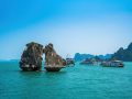 fighting cocks islet hon trong mai ha long 0004