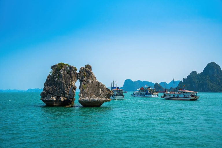 fighting cocks islet hon trong mai ha long 0004