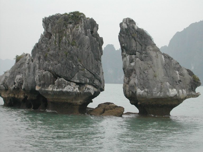 fighting cocks islet hon trong mai ha long 0006