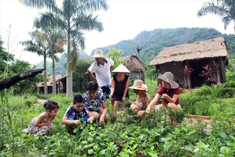 viet hai old village